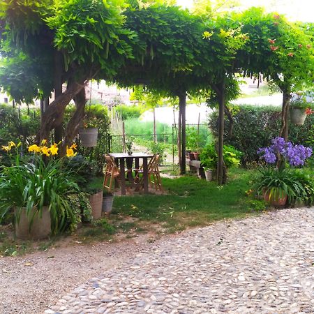 Bed and Breakfast Il Germano Reale Alba  Esterno foto