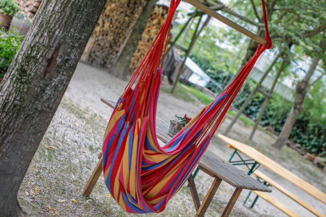 Bed and Breakfast Il Germano Reale Alba  Esterno foto