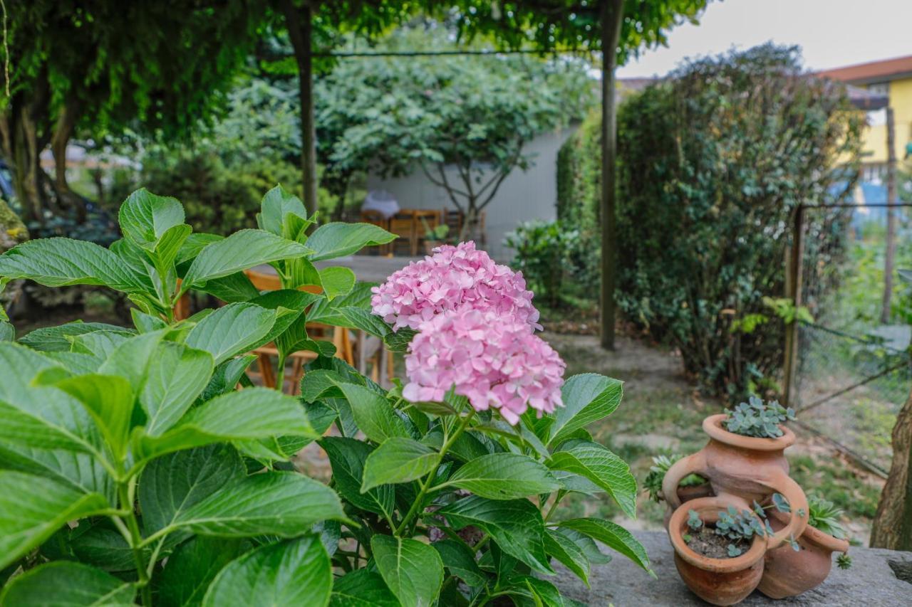 Bed and Breakfast Il Germano Reale Alba  Esterno foto