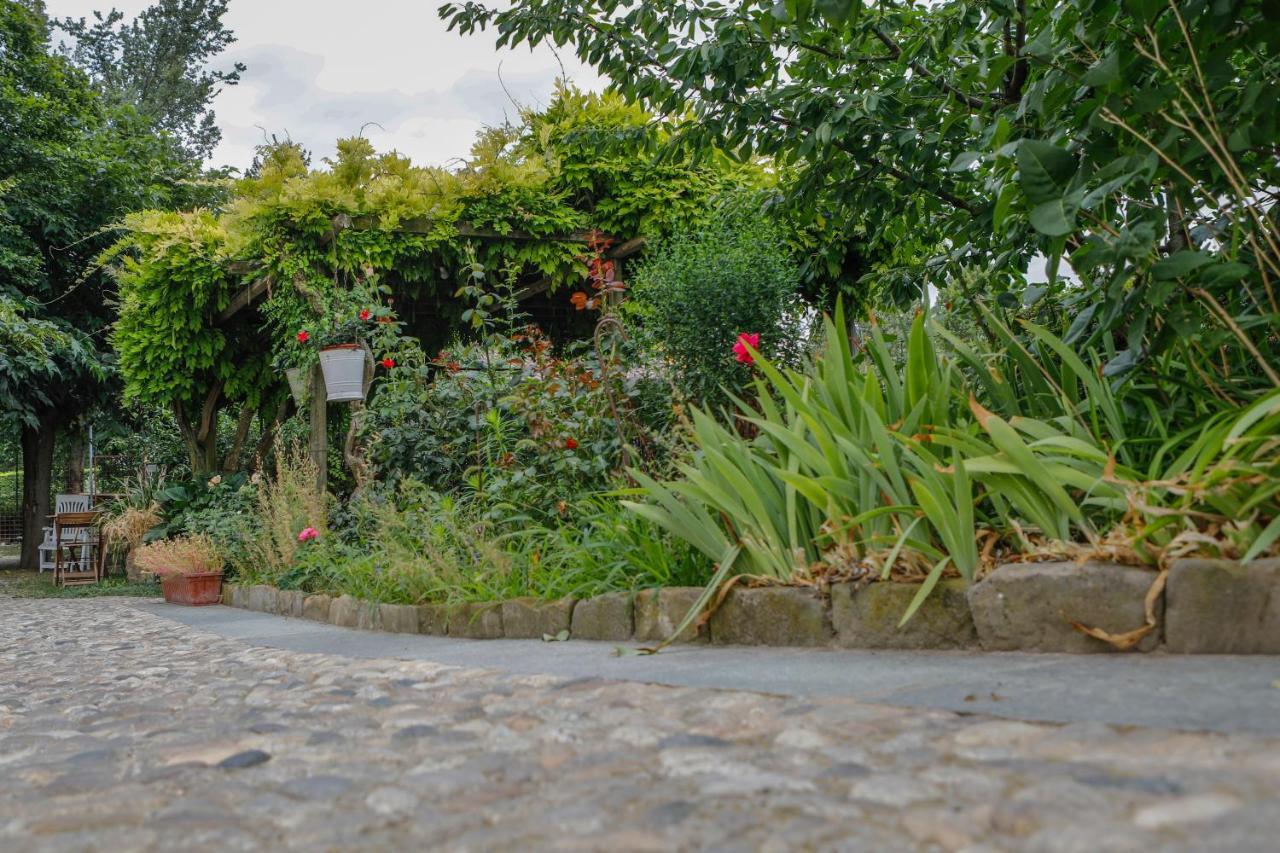 Bed and Breakfast Il Germano Reale Alba  Esterno foto