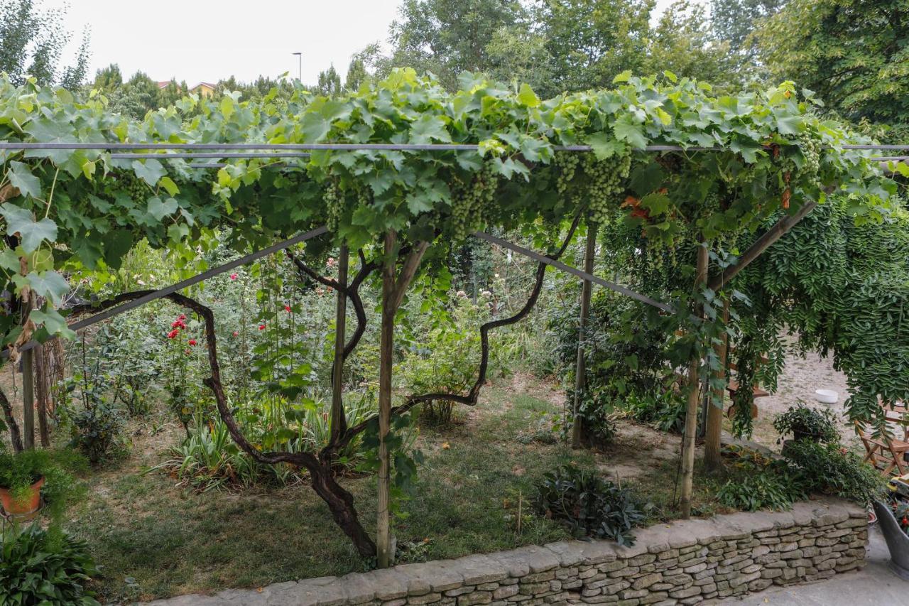 Bed and Breakfast Il Germano Reale Alba  Esterno foto