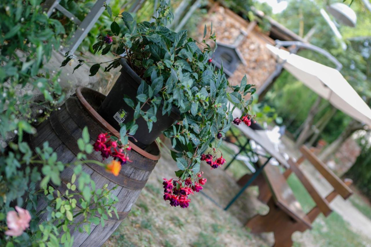 Bed and Breakfast Il Germano Reale Alba  Esterno foto