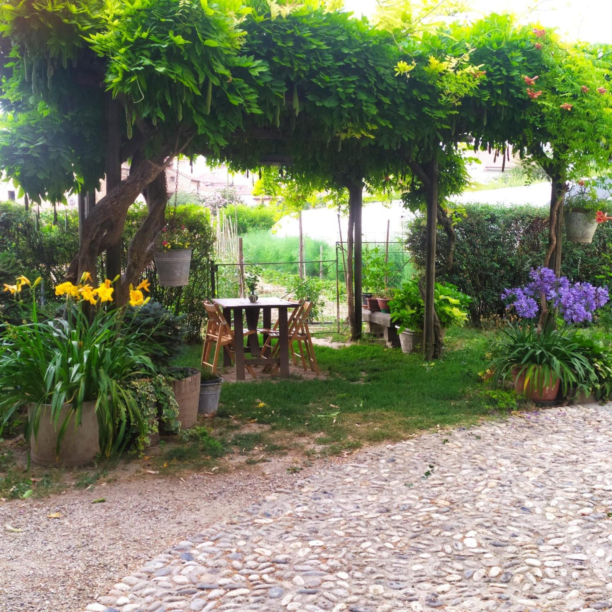 Bed and Breakfast Il Germano Reale Alba  Esterno foto